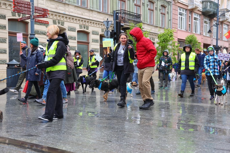 Parada kundelków w Łodzi 2025 przeszła ulicami. Skala słodyczy wysoka jak nigdy!