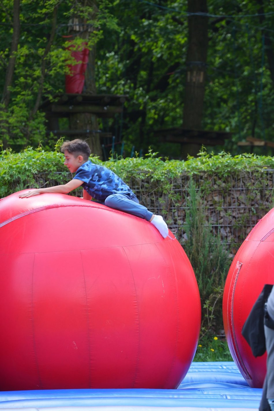 Łódź. Piknik na Młynku w Łodzi. Dmuchańce, alpaki, gigantyczne kręgle i rowery wodne