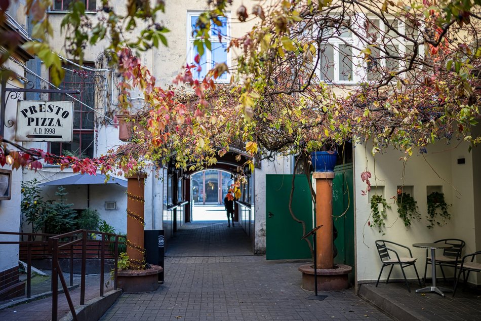 Najpiękniejsze jesienne podwórko w Łodzi? Zajrzyj na Piotrkowską 67!