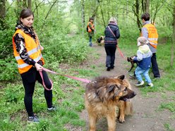 Łódź. Psy ze schroniska w Łodzi na spacerze z Łodzianami! Akcja "WYBIEGAJsŁODZIAKA" ma moc!