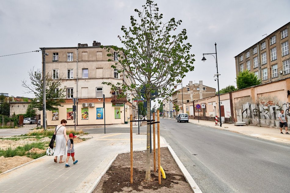 Łódź. Ulica Zarzewska