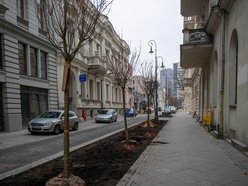 Висадка дерев на вул. Moniuszki