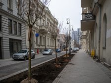 Висадка дерев на вул. Moniuszki