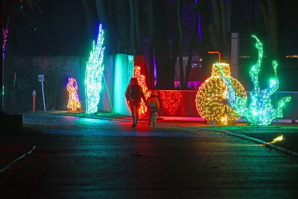 Park Miliona Świateł w Orientarium Zoo Łódź
