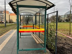 Zielone przystanki w Łodzi