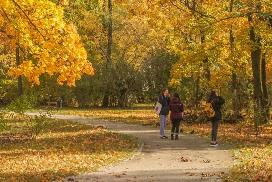 Młodzieżowe słowo roku po łódzku