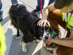 Łódź. Falco z lotniska w Łodzi przeszedł na emeryturę