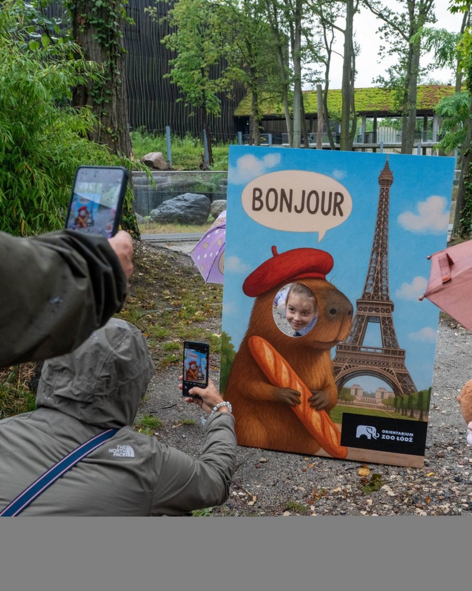 Łódź. Zlot Fanów Kapibary w Orientarium Zoo Łódź. Świetna frekwencja mimo niepogody