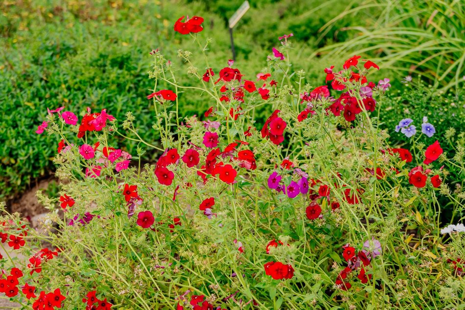 Łódź. Jesień w Ogrodzie Botanicznym w Łodzi. Tam z pewnością pokochasz tę porę roku!