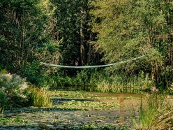 Łódź. Wiewiórki w Łodzi przygotowują się na zimę. Sprawdź, jak im w tym pomóc
