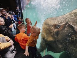 Łódź. Orientarium Zoo Łódź