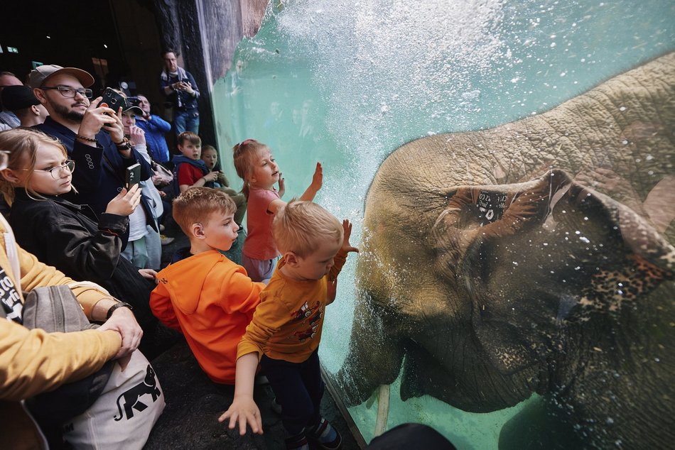 Łódź. Orientarium Zoo Łódź