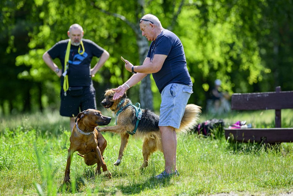 Łódź. Psiejski spacer na Uroczysku Lublinek w Łodzi. Kolejna odsłona wyjątkowej inicjatywy