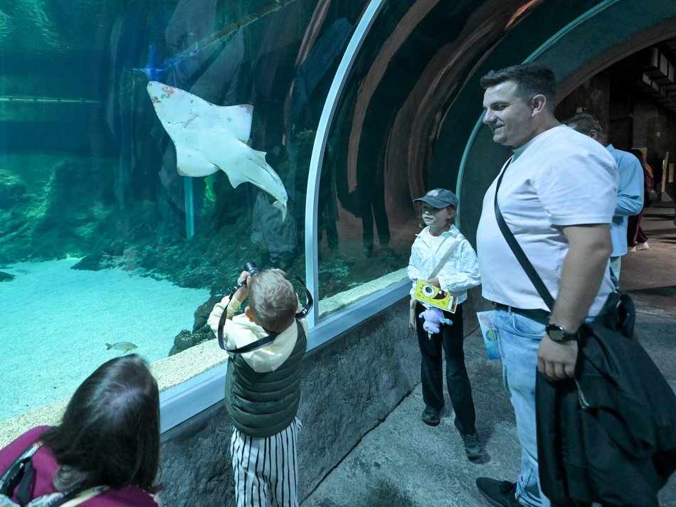 Spongebob w Orientarium Zoo Łódź