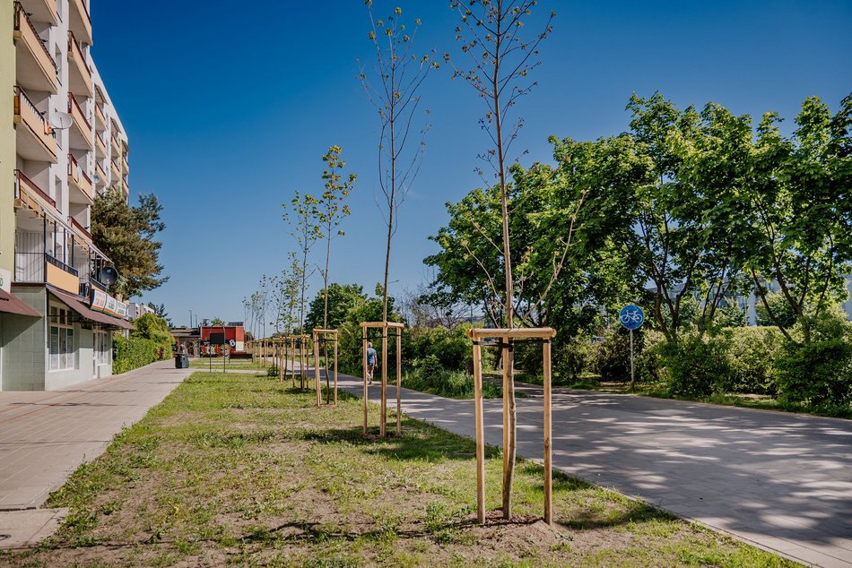 Olechów ma nowy skwer