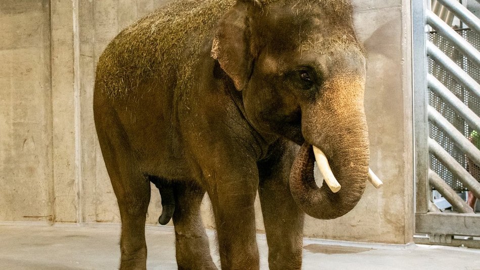 fot. Paweł Łacheta