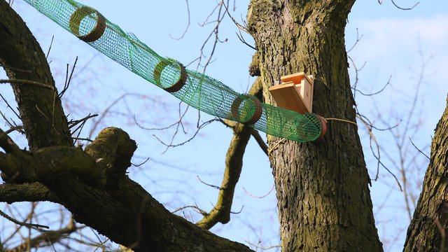 Plac zabaw dla wiewiórek w Łodzi. Gdzie jest i co się w nim znajduje? [ZDJĘCIA]
