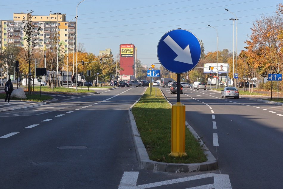 Mniej betonu, więcej zieleni! U zbiegu Lutomierskiej i Włókniarzy zakwitną rośliny