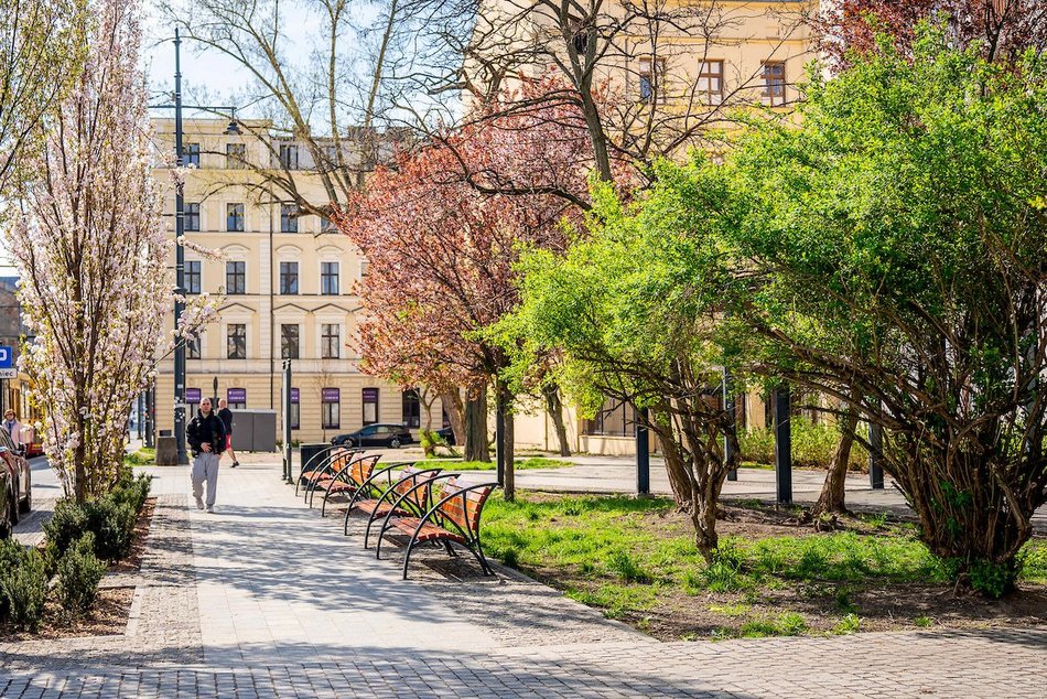 Łódź. Najpiękniejszy skwer? Kiedyś zaniedbany trawnik, dzisiaj kwitnący ogród