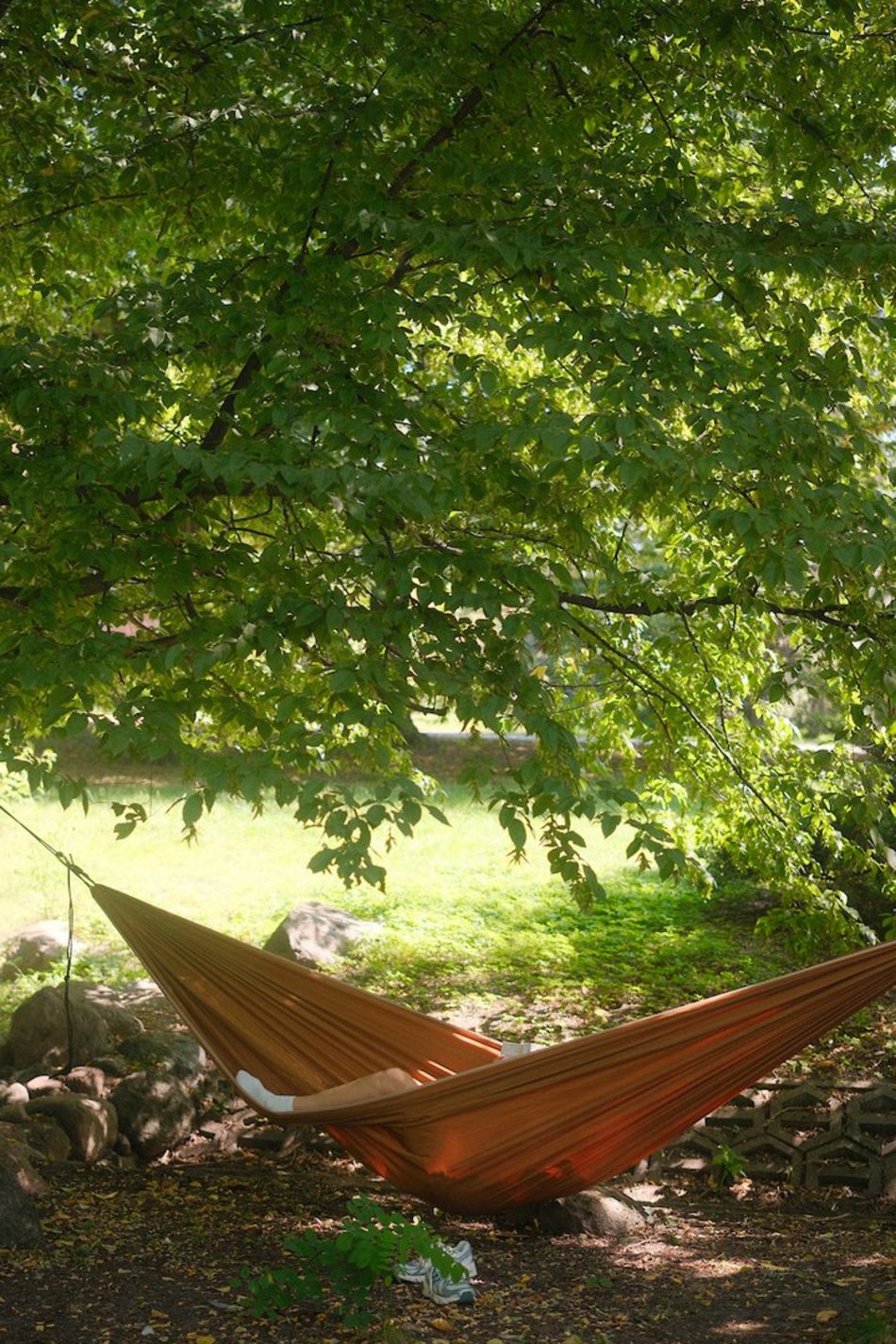 Łódź. Relaks na świeżym powietrzu w Łodzi? Księży Młyn i park Źródliska idealne na długi weekend