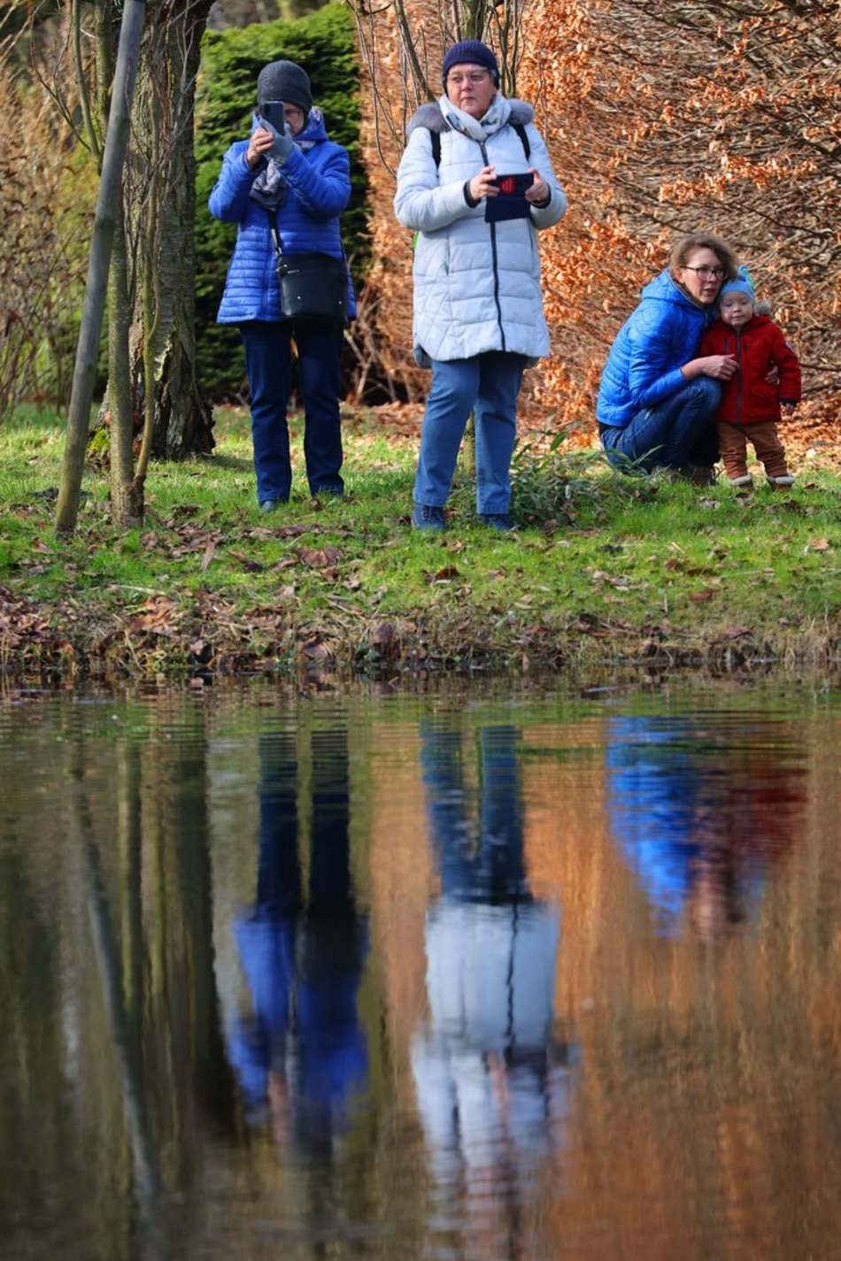 ogród botaniczny