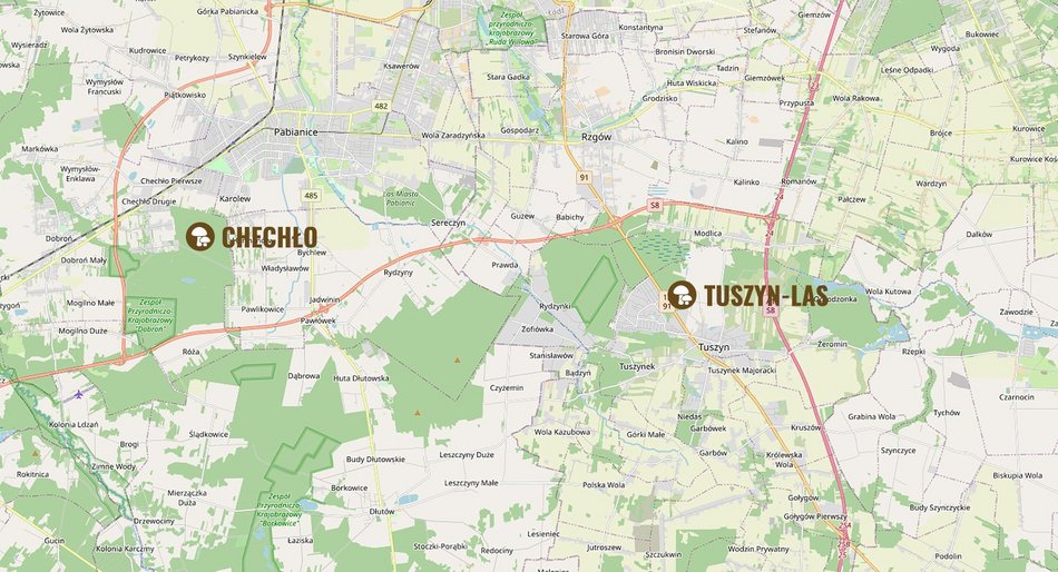 grafika z poradami dotyczącymi zbierania grzybów