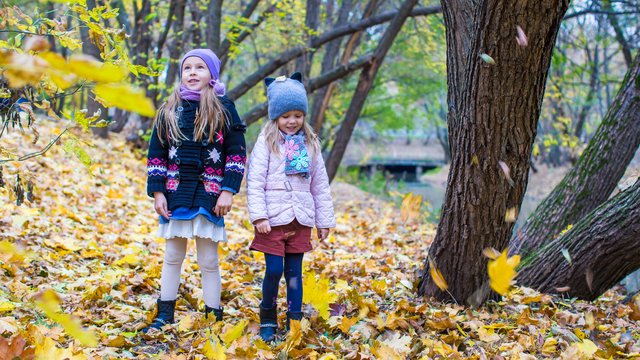 Jesienny park Źródliska bez tajemnic! Wybierzcie się na ekologiczne warsztaty dla dzieci