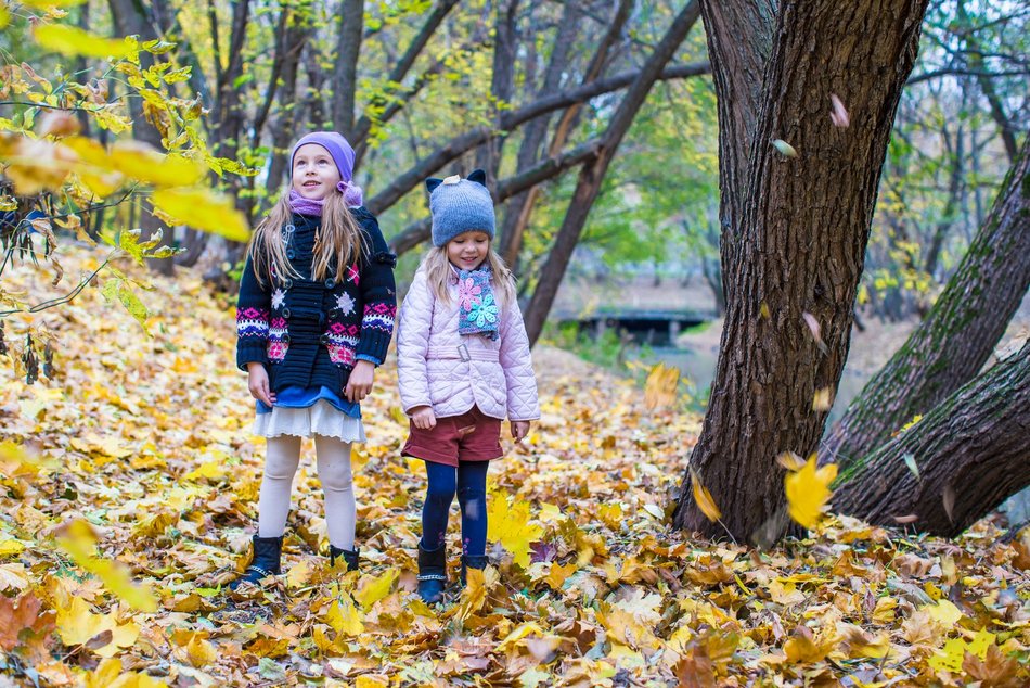 Jesienny park Źródliska bez tajemnic! Wybierzcie się na ekologiczne warsztaty dla dzieci