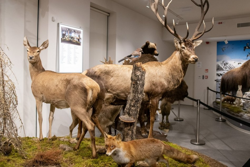 Łódź. Muzeum Przyrodnicze Uniwersytetu Łódzkiego