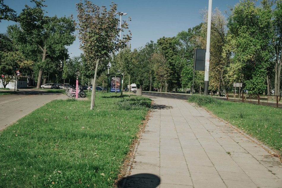 Łódź. Trasa W-Z w Łodzi - w tym miejscu pojawią się nowe drzewa
