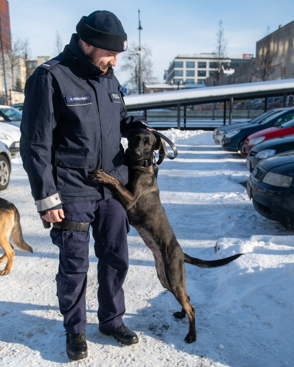 Dwa psy służbowe zasiliły szeregi Komendy Miejskiej Policji w Łodzi