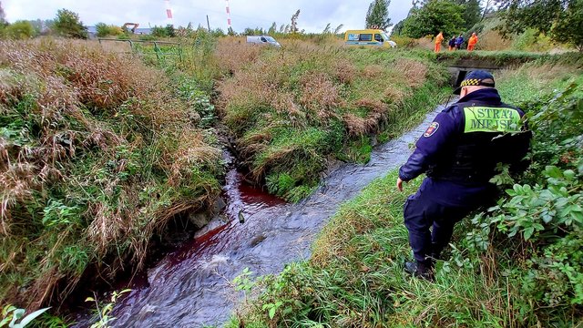 Wykryto sprawców zanieczyszczania rzeki Augustówki. Nie unikną kary! [ZDJĘCIA]