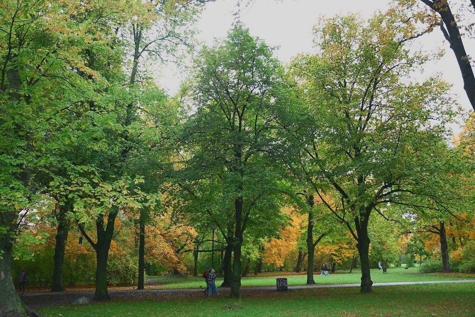 Łódź. Jesienne kadry z parków