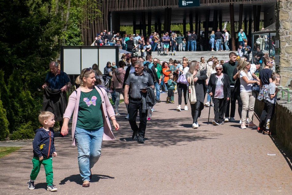 Orientarium Zoo Łódź na 602. Urodziny Łodzi. Polówka, dmuchańce i wyjątkowe karmienia!
