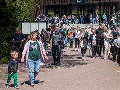 Orientarium Zoo Łódź na 602. Urodziny Łodzi. Polówka, dmuchańce i wyjątkowe karmienia!
