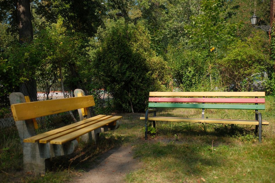 Łódź. Dom Dziennego Pobytu w Łodzi czeka zielona metamorfoza