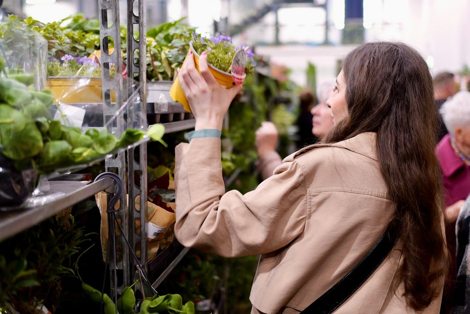 Łódź. Przyjdź na Festiwal Roślin w EC1 Łódź! Nowe gatunki, okazy kolekcjonerskie i więcej