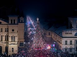 Choinka na Piotrkowskiej w Łodzi już świeci! Tłumy łodzian na placu Wolności