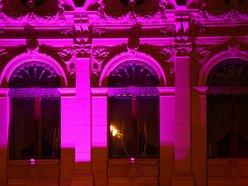 Łódź. Międzynarodowy Dzień Epilepsji w Łodzi. Pałac Poznańskich w lawendowych barwach