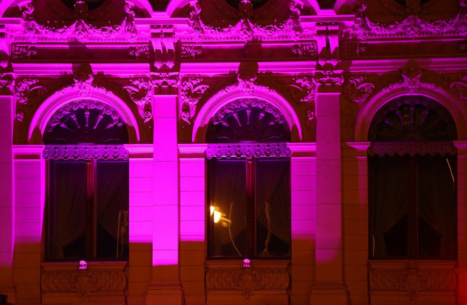 Łódź. Międzynarodowy Dzień Epilepsji w Łodzi. Pałac Poznańskich w lawendowych barwach