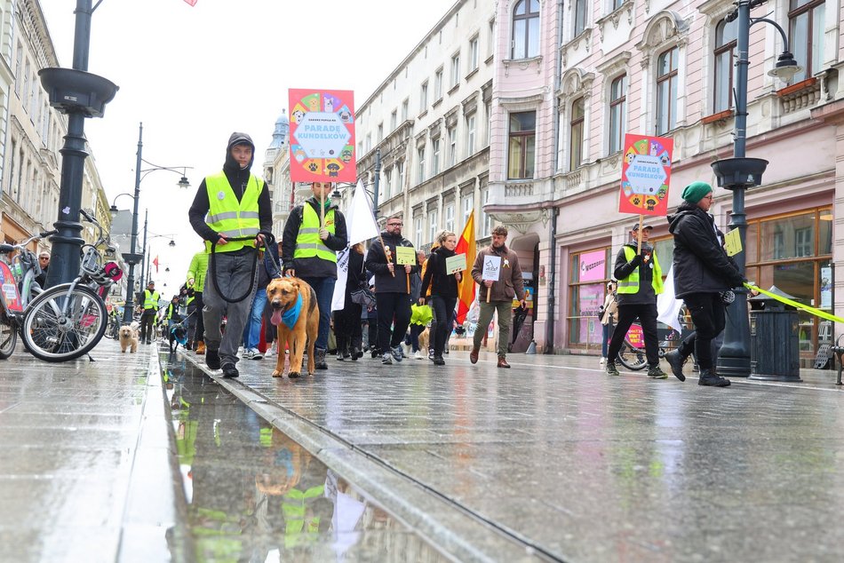 Parada kundelków w Łodzi 2025 przeszła ulicami. Skala słodyczy wysoka jak nigdy!