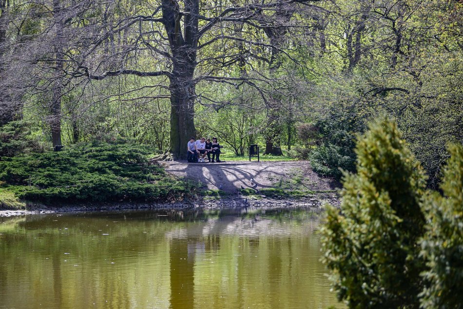 Park Poniatowskiego w Łodzi zachwyca soczystą zielenią. Zdecydujesz się na spacer?