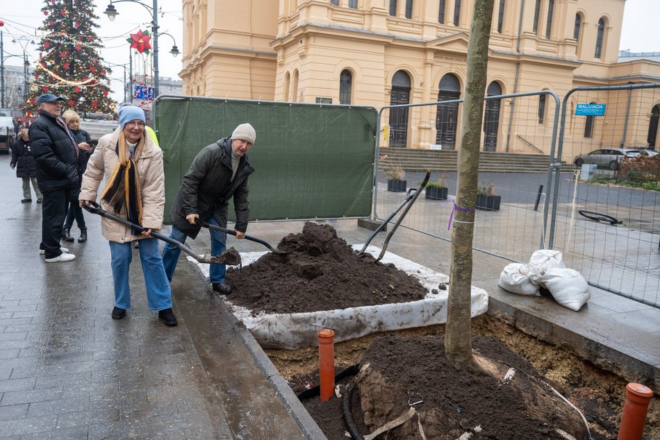 Łódź. Drzewa na Piotrkowskiej w Łodzi posadzone! Łodzianie uczestniczyli w imprezie