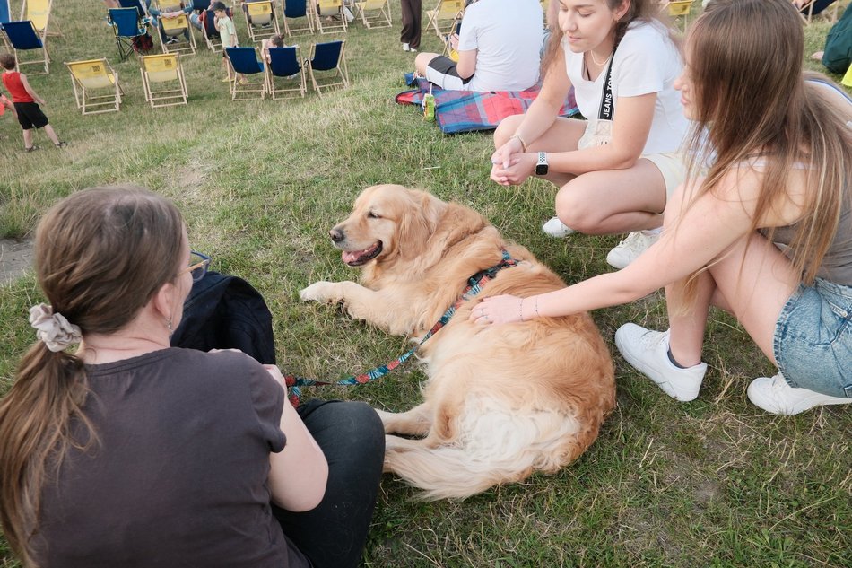 Łódź. Psia Polówka za nami! Na Olechowie pojawili się łodzianie ze swoimi czworonogami