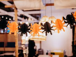 Łódź. Halloween w Aquaparku Fala. Upiorna muzyka, niespodzianki i pływający kościotrup!