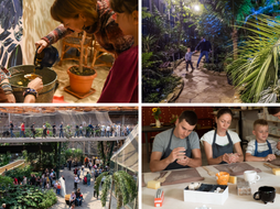 Łódź. Co robić w Andrzejki w Łodzi? Magiczny wieczór w Palmiarni, promocja w Orientarium, wróżby i więcej