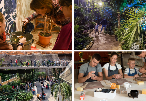 Łódź. Co robić w Andrzejki w Łodzi? Magiczny wieczór w Palmiarni, promocja w Orientarium, wróżby i więcej