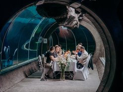 Łódź. Kolacja w tunelu oceanicznym Orientarium Zoo Łódź