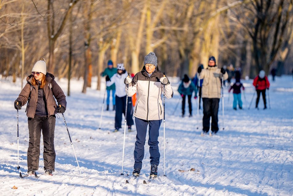 Łódź. Zajęcia z narciarstwa biegowego