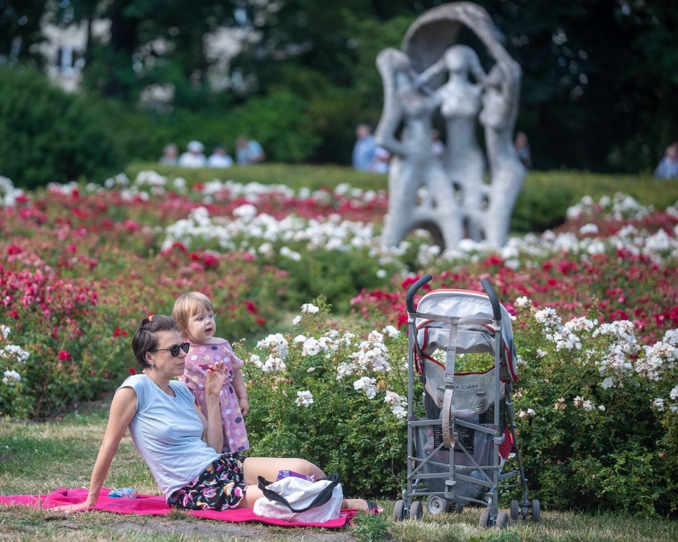 Łódź. Zieleń przyjazna alergikom! Miejsca idealne na spacer bez obaw o alergeny